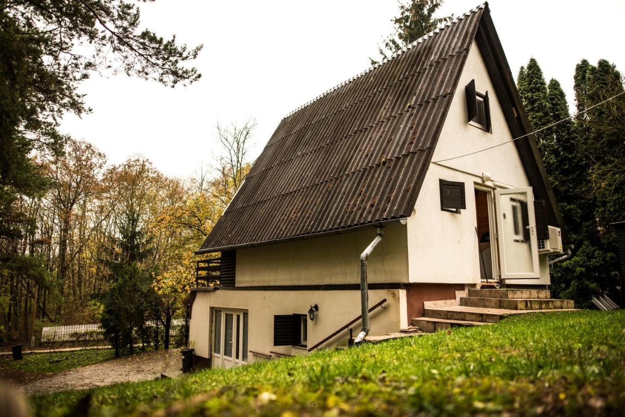 Fenyves Ut 1 Apartment Esztergom Exterior photo